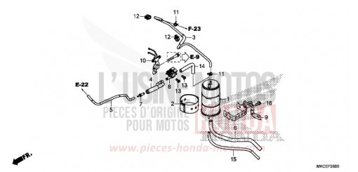 CUVETTE GL1800DAK de 2019